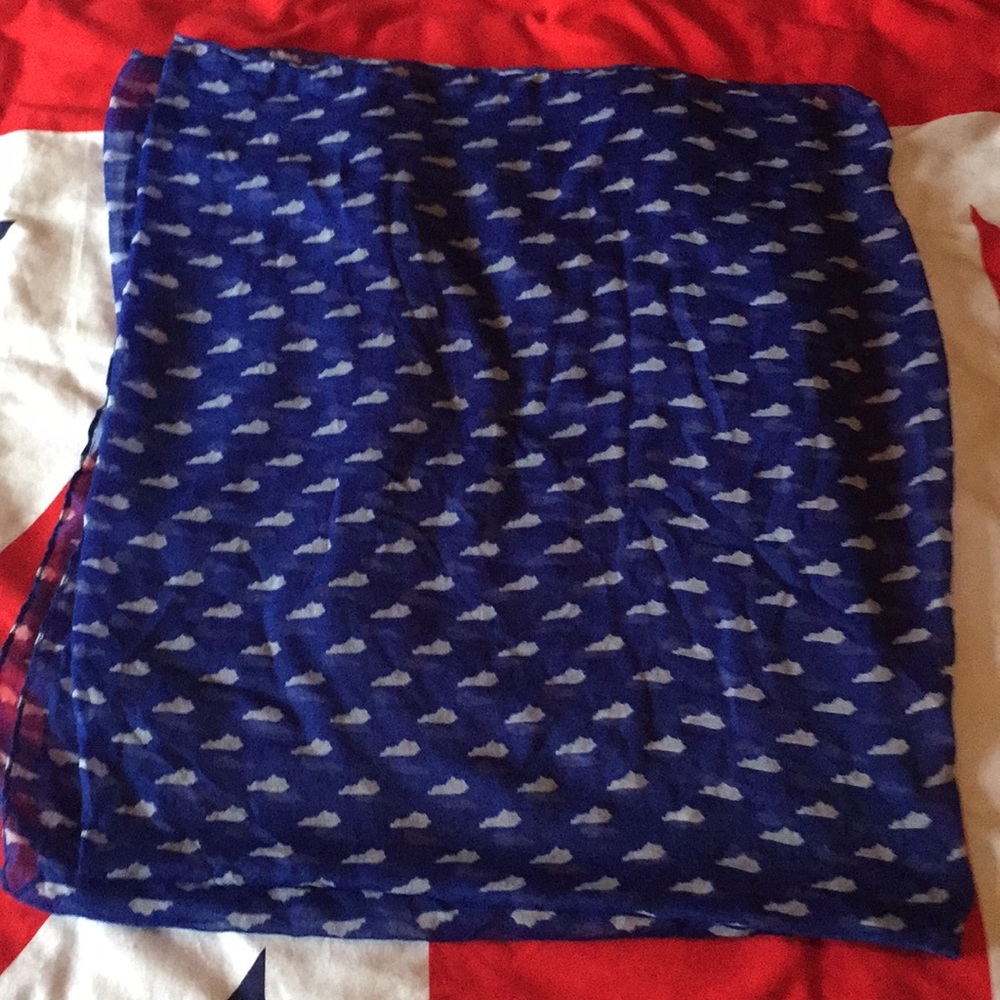 Ladies Commonwealth of Kentucky scarf